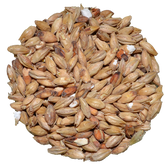 Munich Malt | Light | Avangard